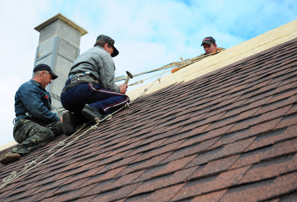 Best Metal Roofing Contractor  in Mcgraw, NY